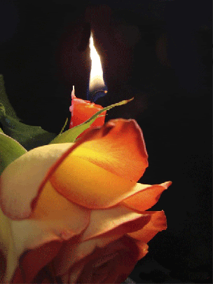 candle-gif-Favim_com-1052813.gif